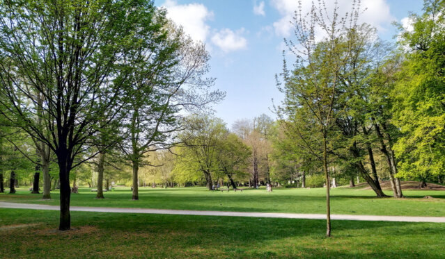 Spaziergang im Schlosspark Niederschönhausen