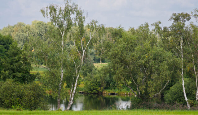 Spaziergang in Freizeitpark Lübars