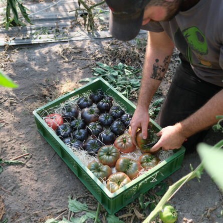 Die Girrbachs ©Ole Zimmermann-2
