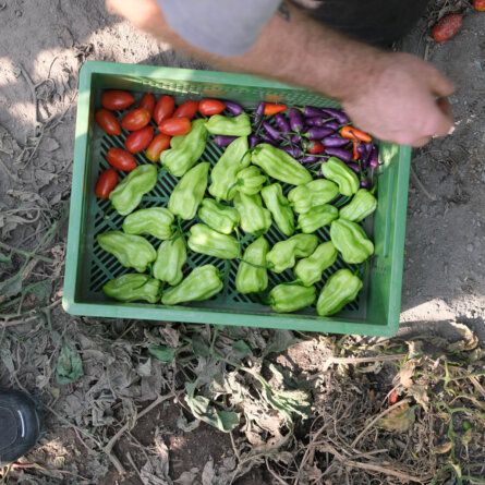 Die Girrbachs ©Ole Zimmermann-4