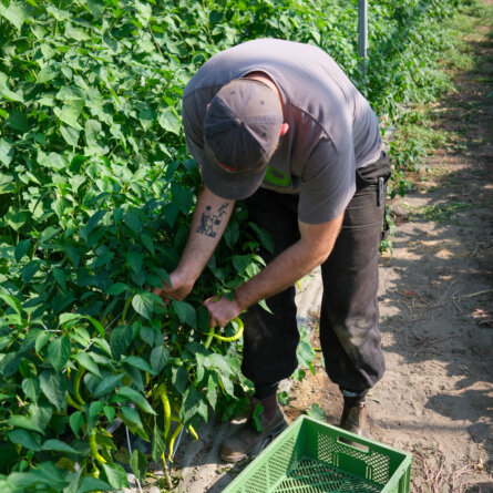 Die Girrbachs ©Ole Zimmermann-6