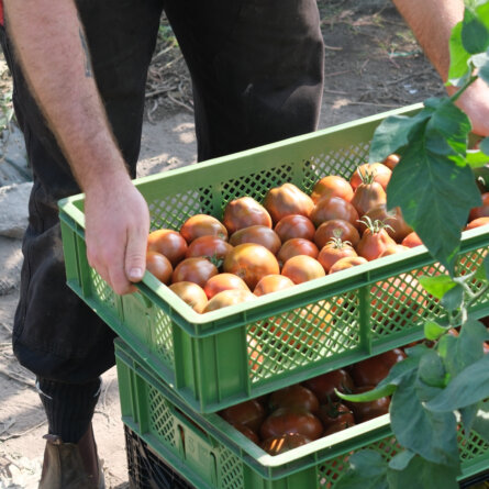 Die Girrbachs ©Ole Zimmermann-7