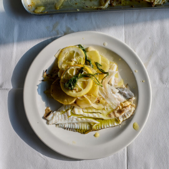 Gebratener Steinbutt