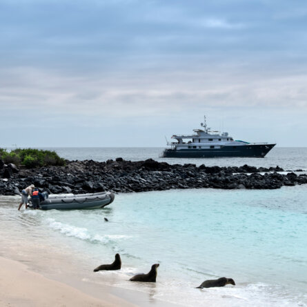 Islands Galapagos Explorer andbeyond-14