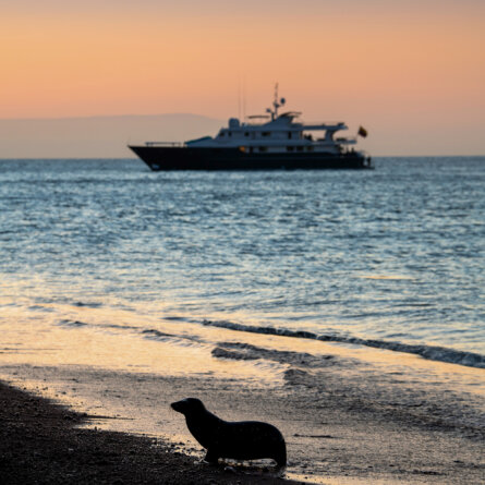 Islands Galapagos Explorer andbeyond-20