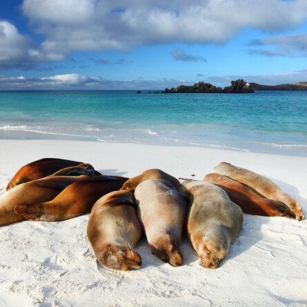 Islands Galapagos Explorer andbeyond-4-2