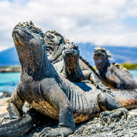 Islands Galapagos Explorer andbeyond-5-2
