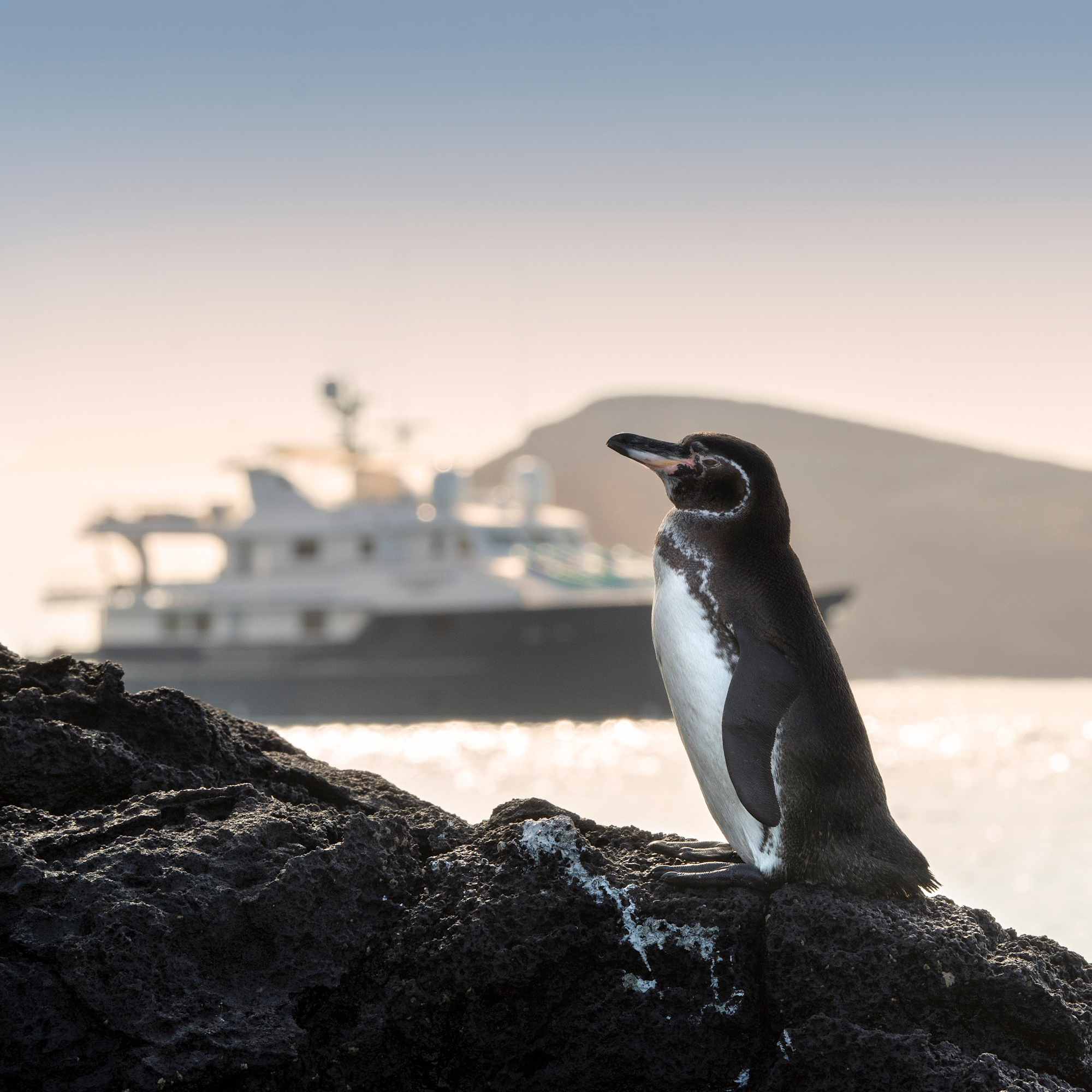 Islands Galapagos Explorer andbeyond