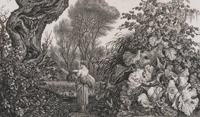 Kolbe_KW_FraumitHeubuendel