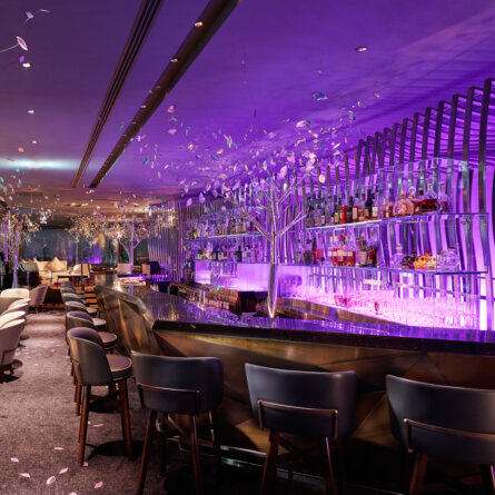 The Peninsula Tokyo-15