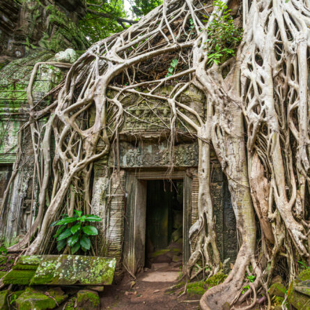 Ankor Wat I Kambodscha