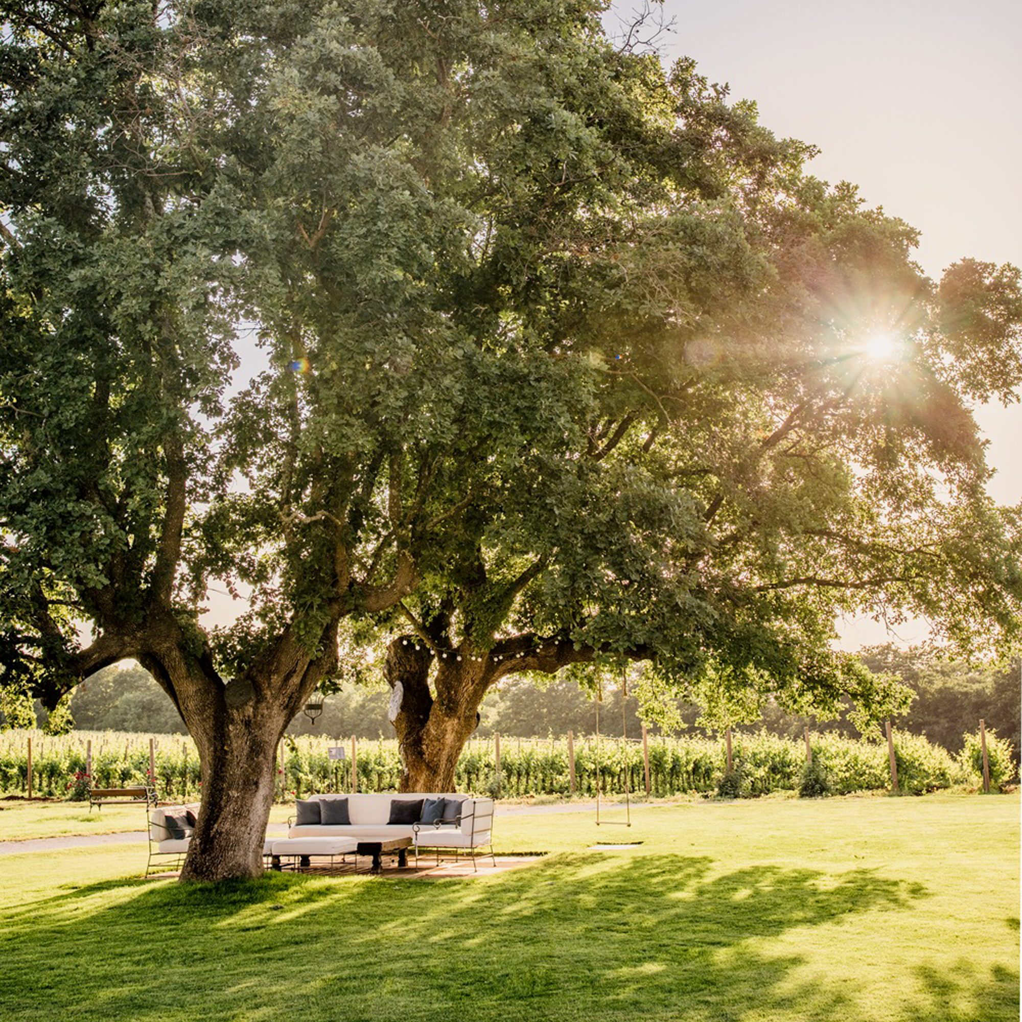 Meneghetti Wine Hotel & Winery-27