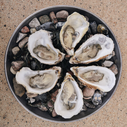 Mokum Tagesbar München-2