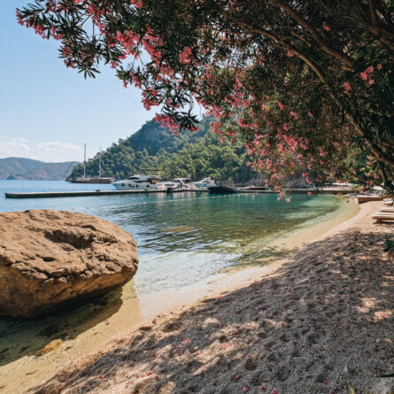 Yazz Collective Fethiye-05