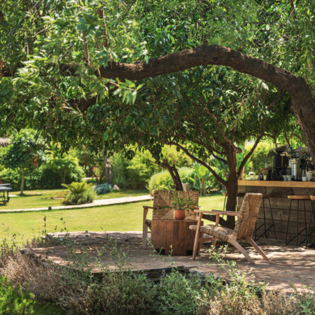 Yazz Collective Fethiye-30