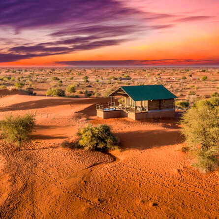 Bagatelle Kalahari Game Ranch I Namibia-2