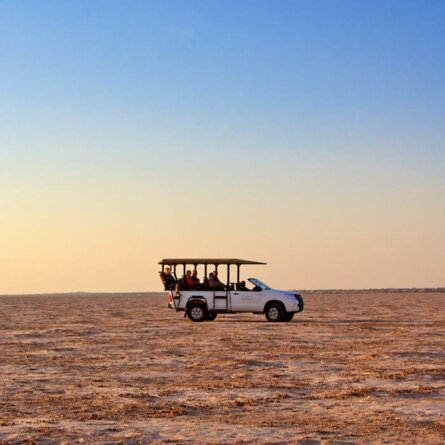 Bagatelle Kalahari Game Ranch I Namibia-4