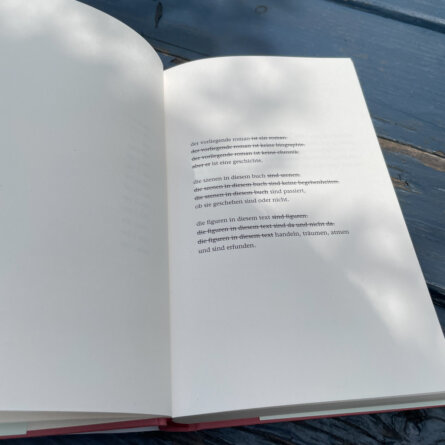 Hannah – von Miku Sophie Kühmel 1