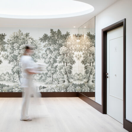 The Merrion  Dublin-02