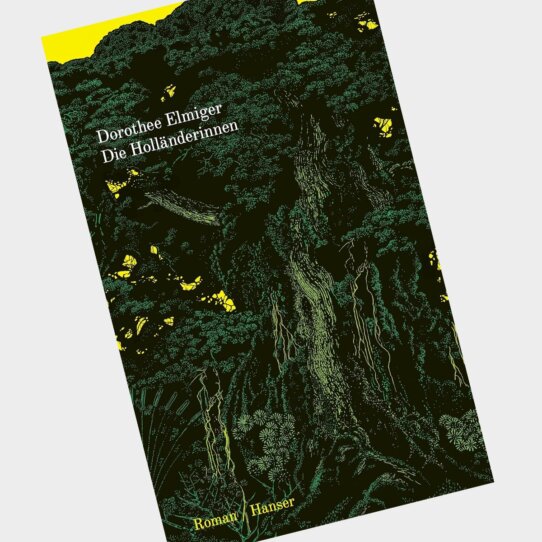 Die Holländerinnen von Dorothee Elmiger