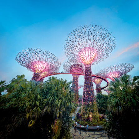 Singapore Impression-5