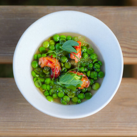 The Monk Garden Reficio-11