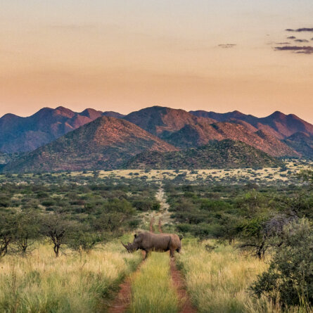 Tswalu Kalahari Reserve -1