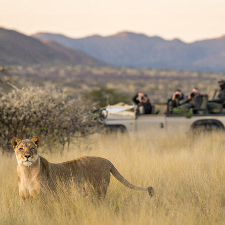 Tswalu Kalahari Reserve -13