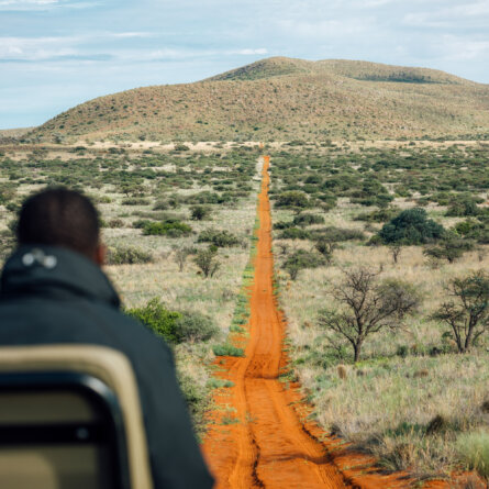 Tswalu Kalahari Reserve -25 - Kopie