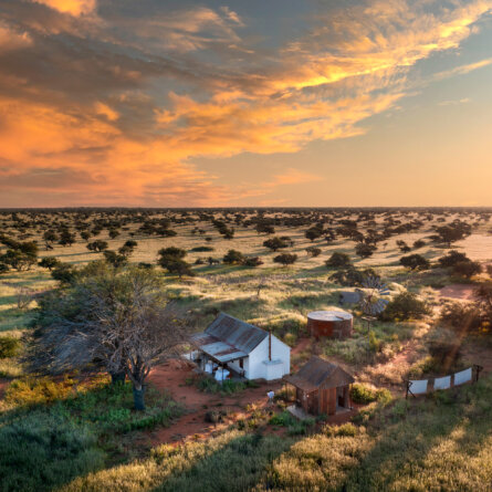 Tswalu Kalahari Reserve -3