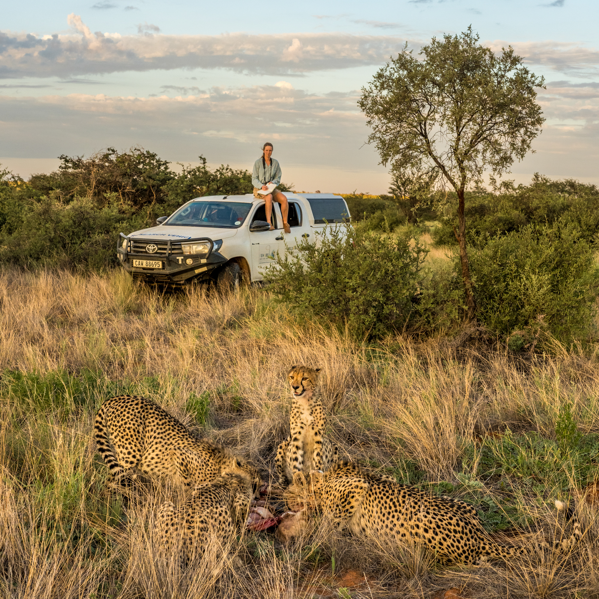 Tswalu Kalahari Reserve -37 - Kopie
