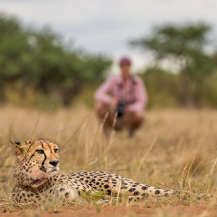 Tswalu Kalahari Reserve -38 - Kopie
