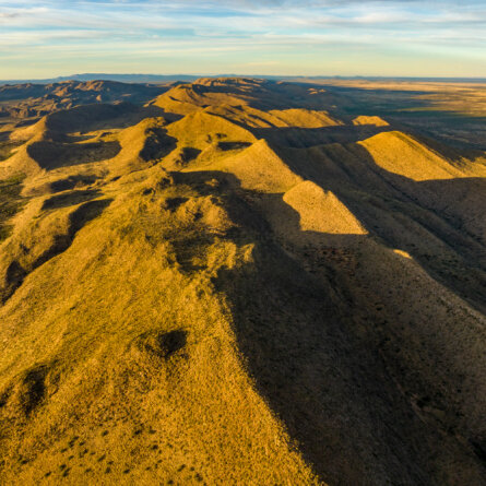 Tswalu Kalahari Reserve -65