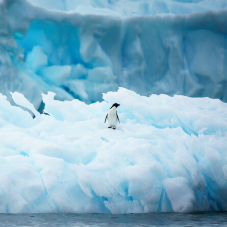 Antarctica I Jonathan Irish