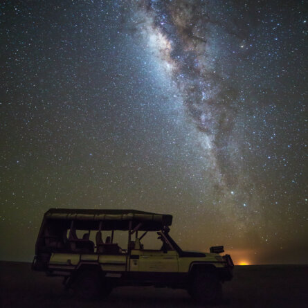 Bushtops Camps Roving-1