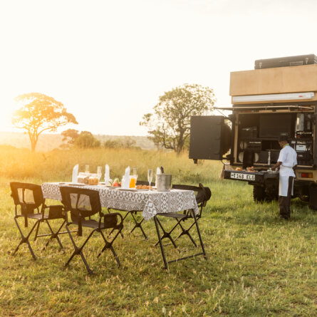 Bushtops Camps The Beest-1