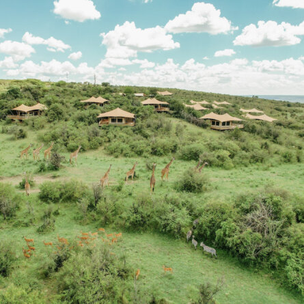 Mara Bushtops Camps-3