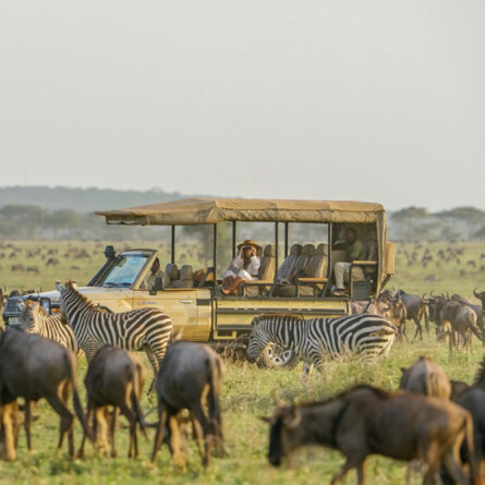 Mara Bushtops Camps-6