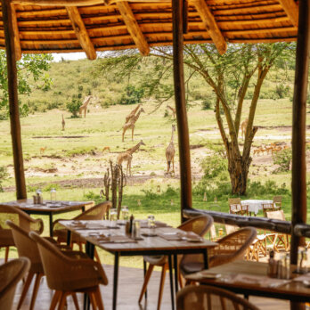 Mara Bushtops Camps Mara Bushtops Camps