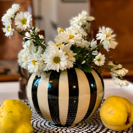 ACCA Collective Details-3