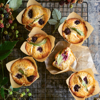 Brombeermuffins ©Matilda Pamment