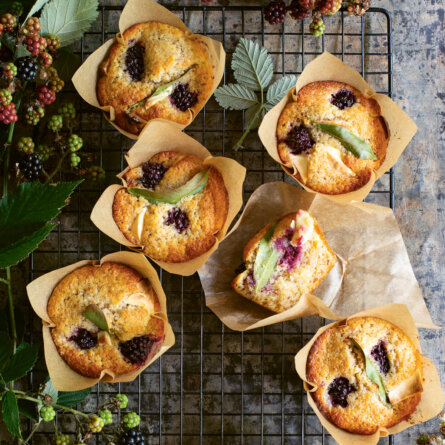 Brombeermuffins ©Matilda Pamment
