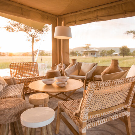 Bushtops Impressionen-2