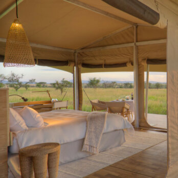 Bushtops Impressionen-5 Bushtops Impressionen-5