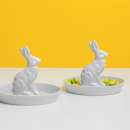 Feinesweißes Hasenteller-2