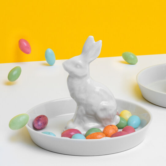 Feinesweißes Hasenteller-3