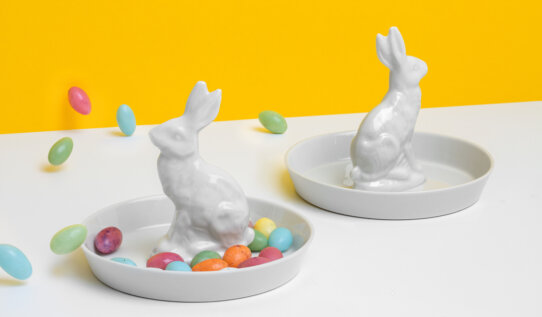 Feinesweißes Hasenteller-4