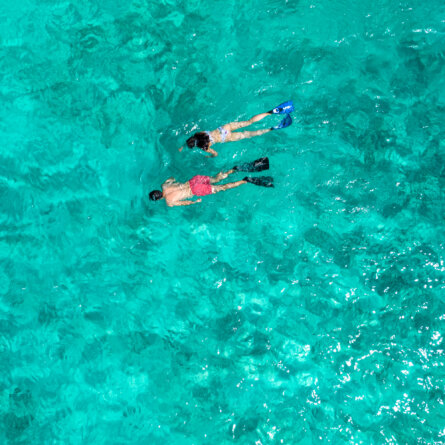 North Island I Seychellen-17