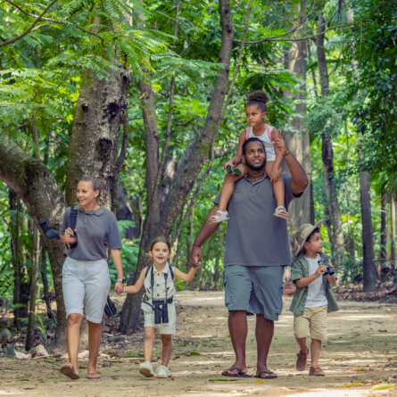 North Island I Seychellen-21