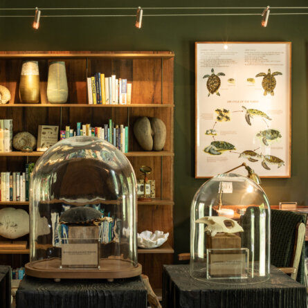 North Island I Seychellen-33